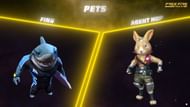 There will be two pet options (Image via Garena)